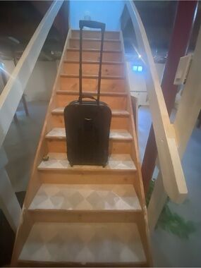 Bark Black Rolling Carry-On Luggage